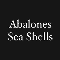 Abalones Sea Shells