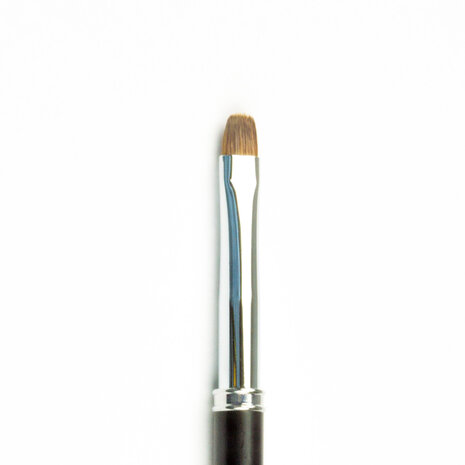 Perfect French Penseel Ordinary Line Brush