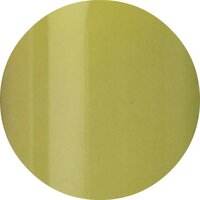 Color Acryl 40 - potje 8gram