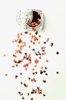 ButterFly Inlay Glitter 06