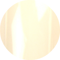 Urban Nails Pro and Go NW 46