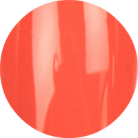 Urban Nails Pro and Go NW 50