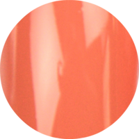 Urban Nails Pro and Go NW 51