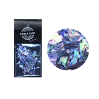 Abalone Sea Shells 07