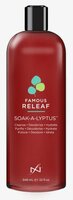 Famous Releaf Soak-A-Lyptus 946 ml;