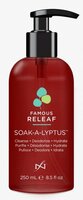 Famous Releaf Soak-A-Lyptus 250 ml;