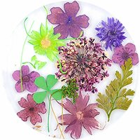 Urban Nails Dried Flowers 02