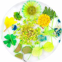 Urban Nails Dried Flowers 12