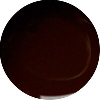 Urban Nails Pro and Go NW 17