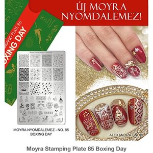 Moyra Stamping Plate 085 - Boxing Day