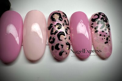 Panther Roze Inspiratie set 