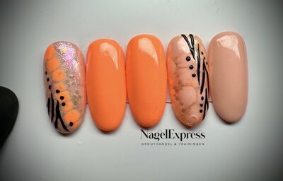 Oranje Zebra Inspiratie set