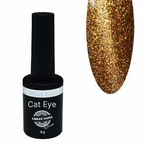 Brilliant CatEye 13 - Urban Nails BCA13