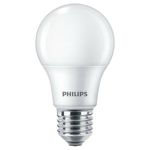 Philips Daglicht lamp 6800K (100W) matt licht