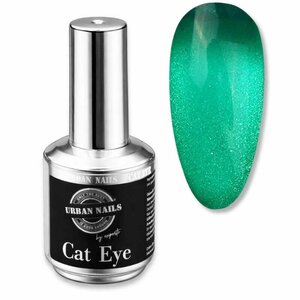 Transparant Gel Polish TCA19 - Glass Cat Eye