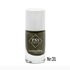 PNS Stamping Polish 031 Groen Goud Holografisch_