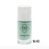 PNS Stamping Polish 040 Pastel Groen_