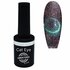 Galaxy Glaze Cat Eye 10 (GGCA10) Urban Nails_